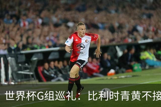 世界杯G组巡礼：比利时青黄不接 伊朗赴美参赛风波不断