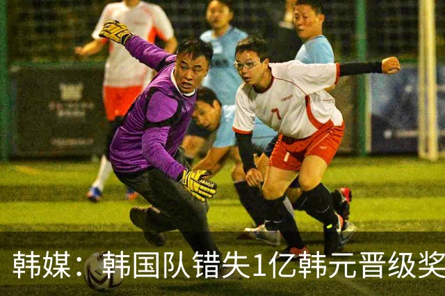 韩媒：韩国队错失1亿韩元晋级奖 但每人仍可拿8000万津贴