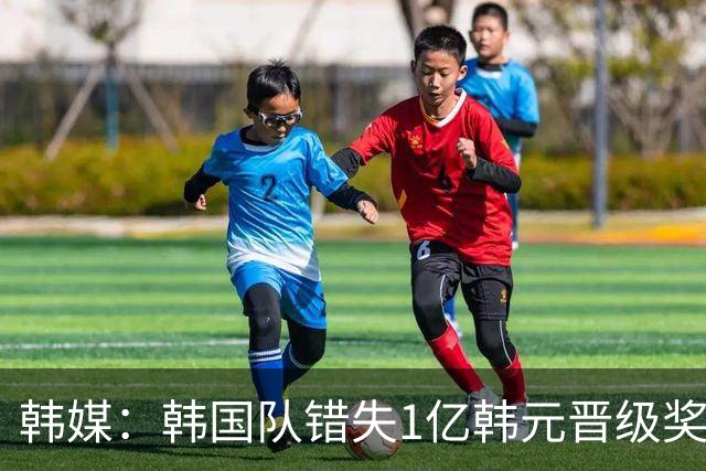 韩媒：韩国队错失1亿韩元晋级奖 但每人仍可拿8000万津贴
