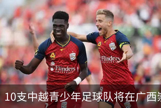10支中越青少年足球队将在广西崇左展开竞逐